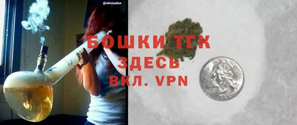 гидра Арсеньев