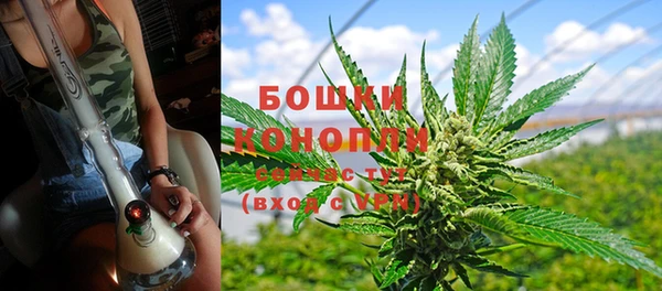 молекула духа Аркадак