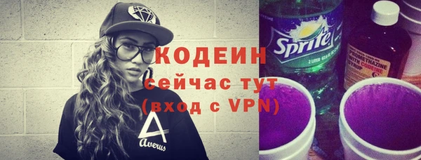 гидра Арсеньев