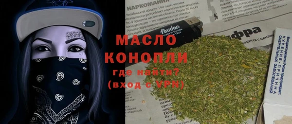 гидра Арсеньев